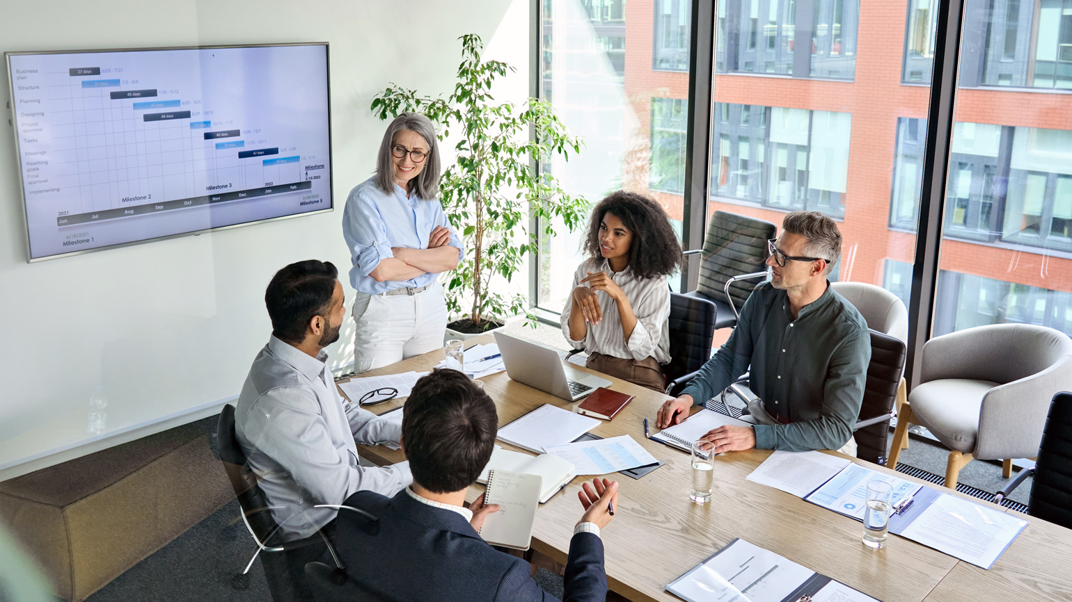 Senior,Female,Ceo,And,Multicultural,Business,People,Discussing,Company,Presentation